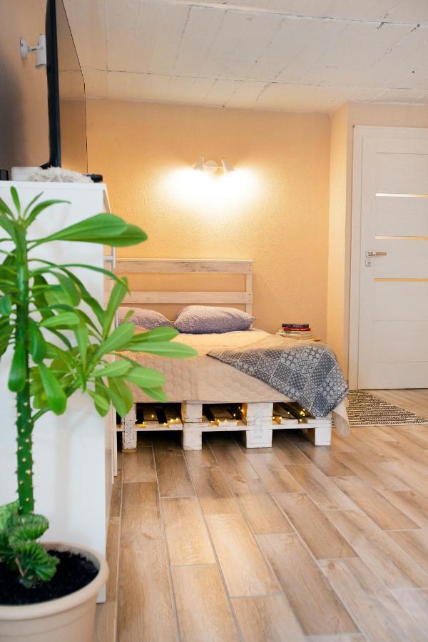 קובנה Apartment In Garage With Free Parking מראה חיצוני תמונה